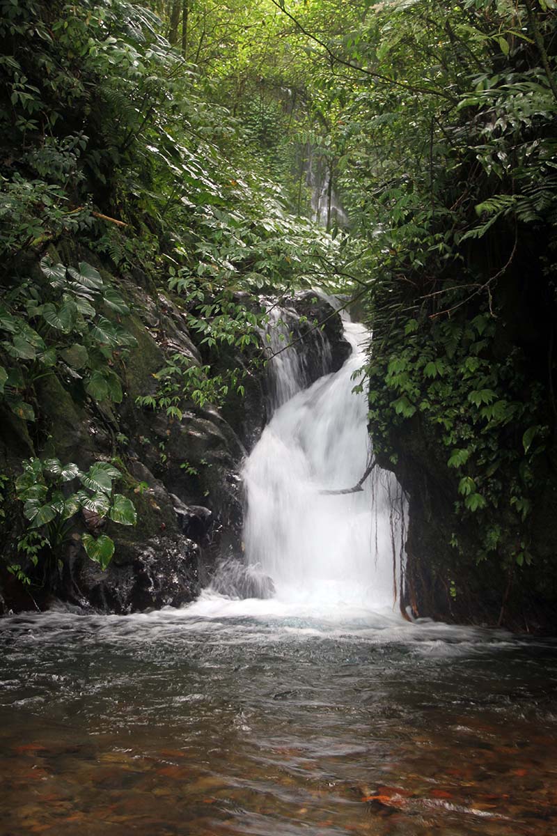 Hidden Bali waterfalls